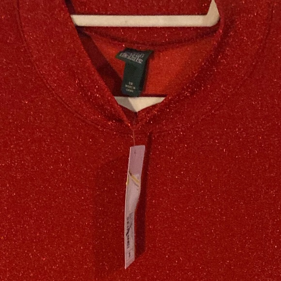 Wild Fable Red Metallic Dress  Size 3X - Picture 3 of 7